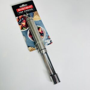 هسته گیر شنگیا