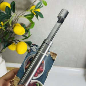 هسته گیر شنگیا