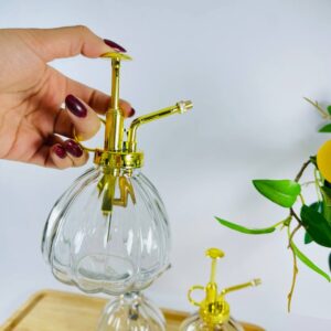 Glass Mist Sprayer
