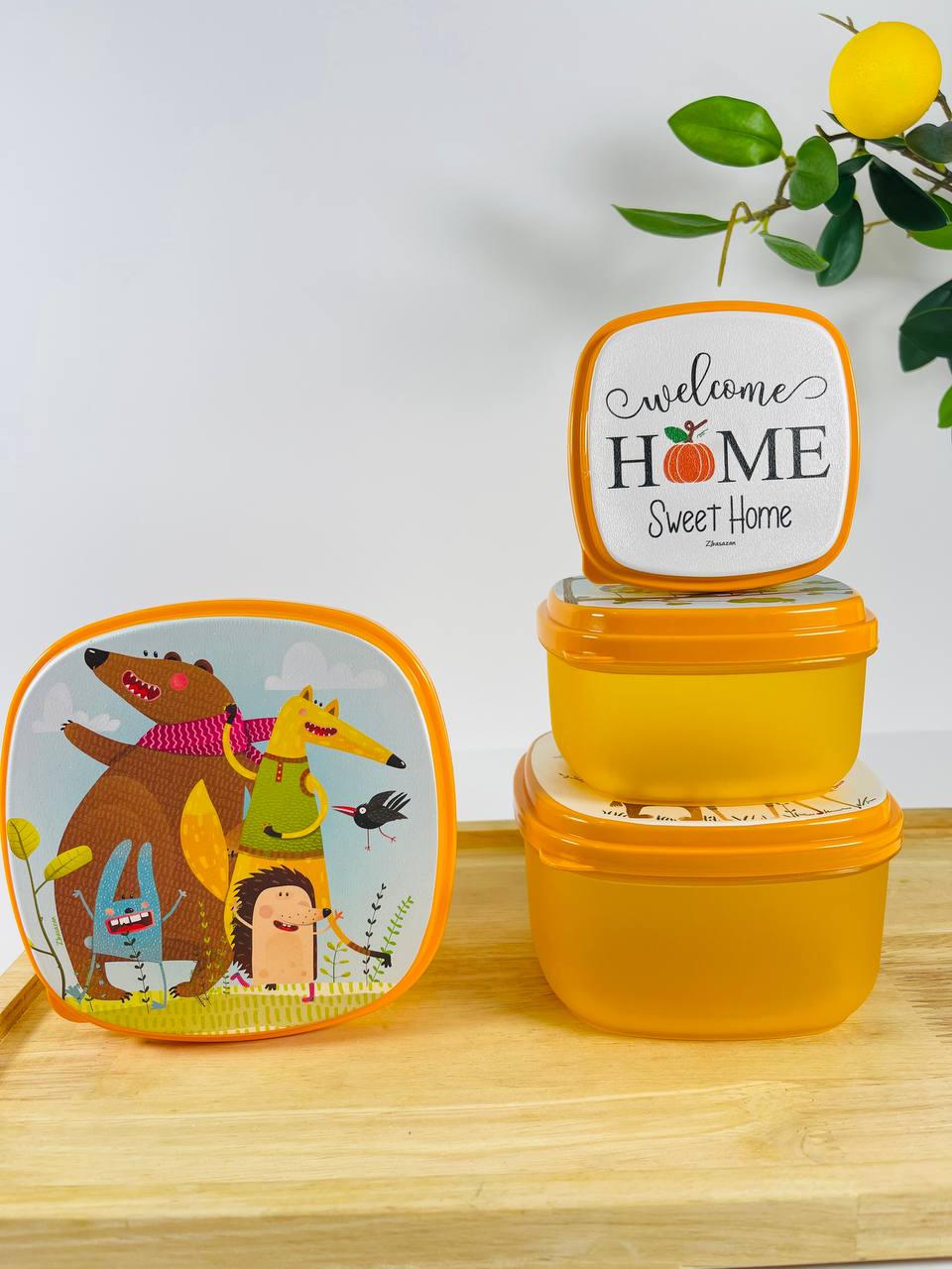 ست ظرف غذا مربع بارانا