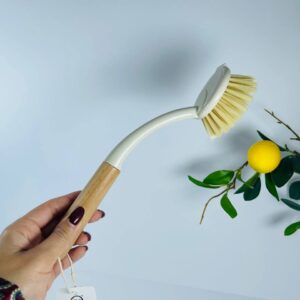 فرچه نظافت دسته بلند WS