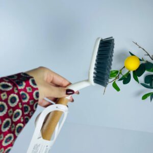 برس نظافت سر بیضی وارداتی